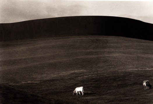 te-tuhirangi-contour_0002