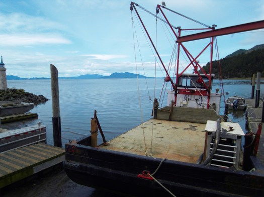 SAMSUNG DIGITAL CAMERA