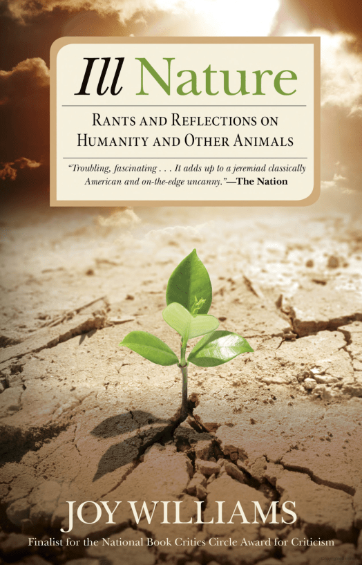 Screen Shot 2018-03-29 at 3.10.28 PM.png